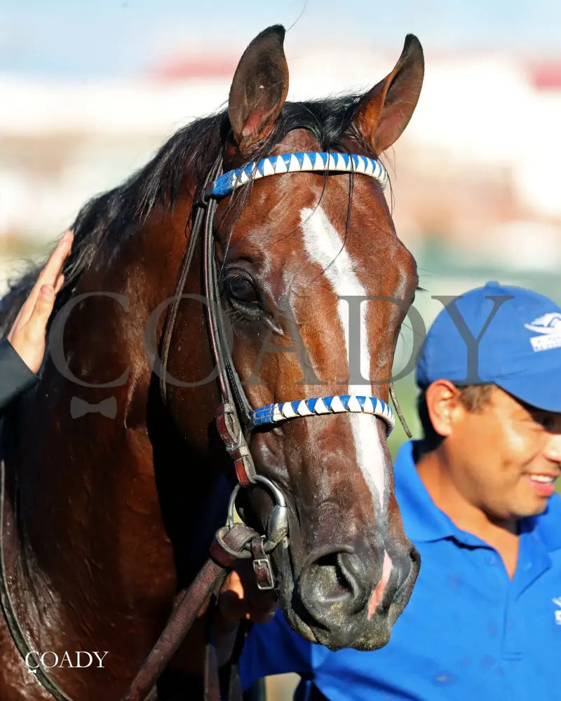 MYSTIK DAN - 092725 - Race 10 - CD - Comeback 03 Churchill Downs