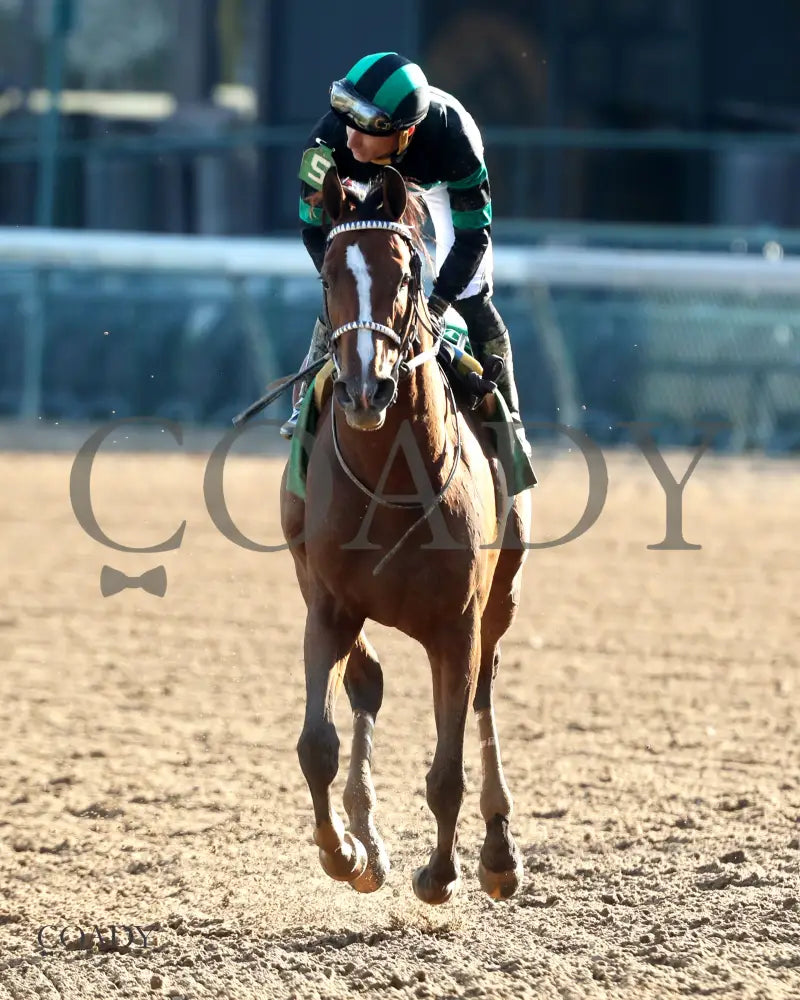 MYSTIK DAN - 092725 - Race 10 - CD - Comeback 04 Churchill Downs