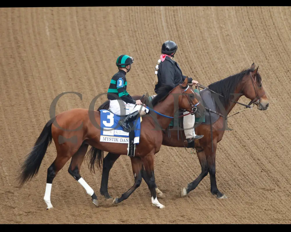 Mystik Dan - The Kentucky Derby G1 150Th Running 05-04-24 R12 Churchill Downs Aerial Post Parade 01