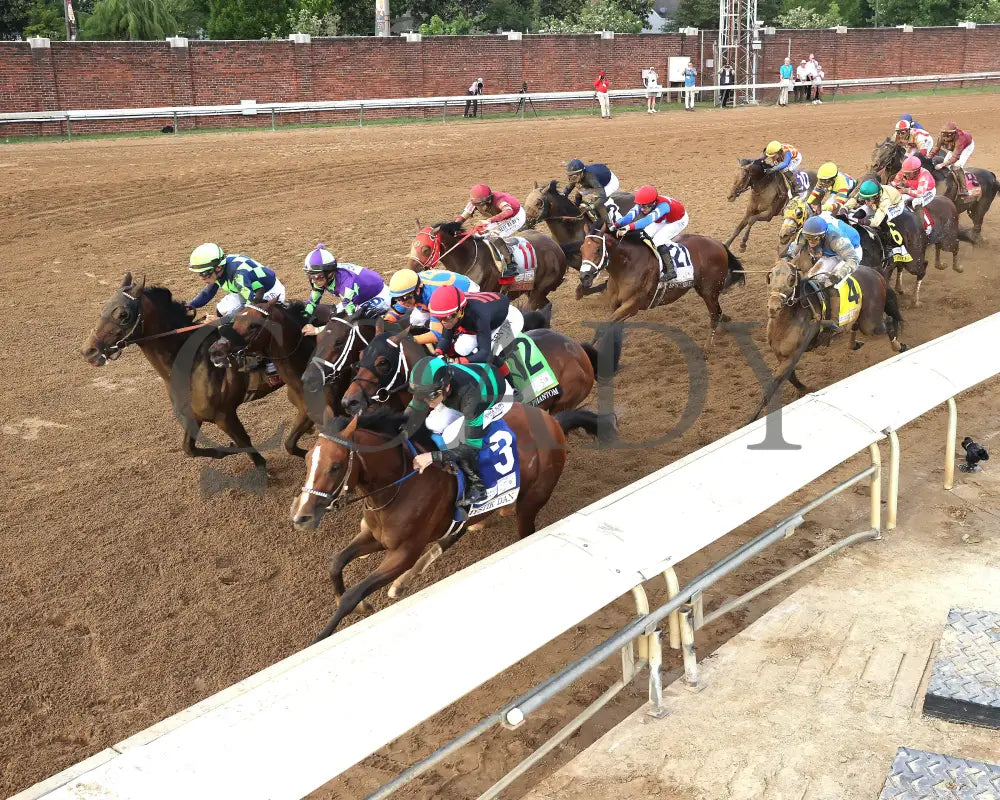 Mystik Dan - The Kentucky Derby G1 150Th Running 05-04-24 R12 Churchill Downs Inside Home Strecth