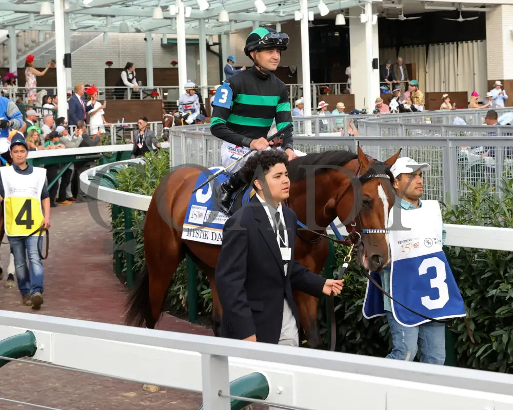 Mystik Dan - The Kentucky Derby G1 150Th Running 05-04-24 R12 Churchill Downs Paddock 02 Renee