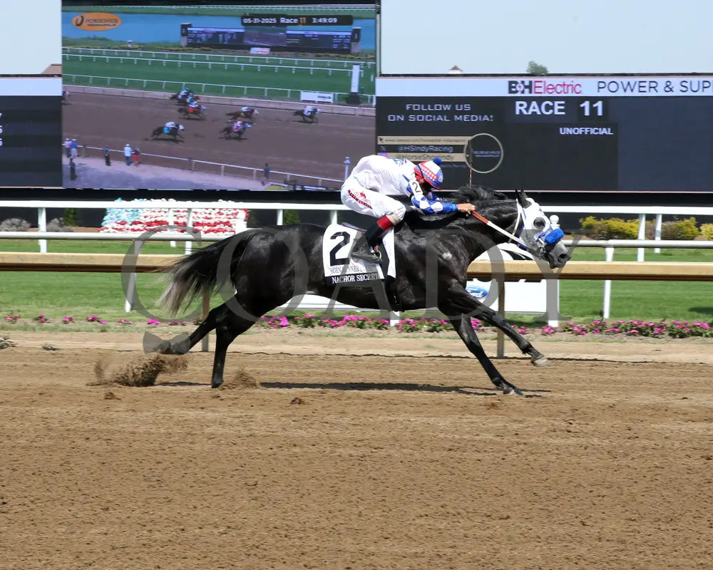 NACHOR SECRET - Born Runner Classic - 15th Running - 05-31-25 - R11 - Horseshoe Indiana - Finish 01 - Sammantha Pagels