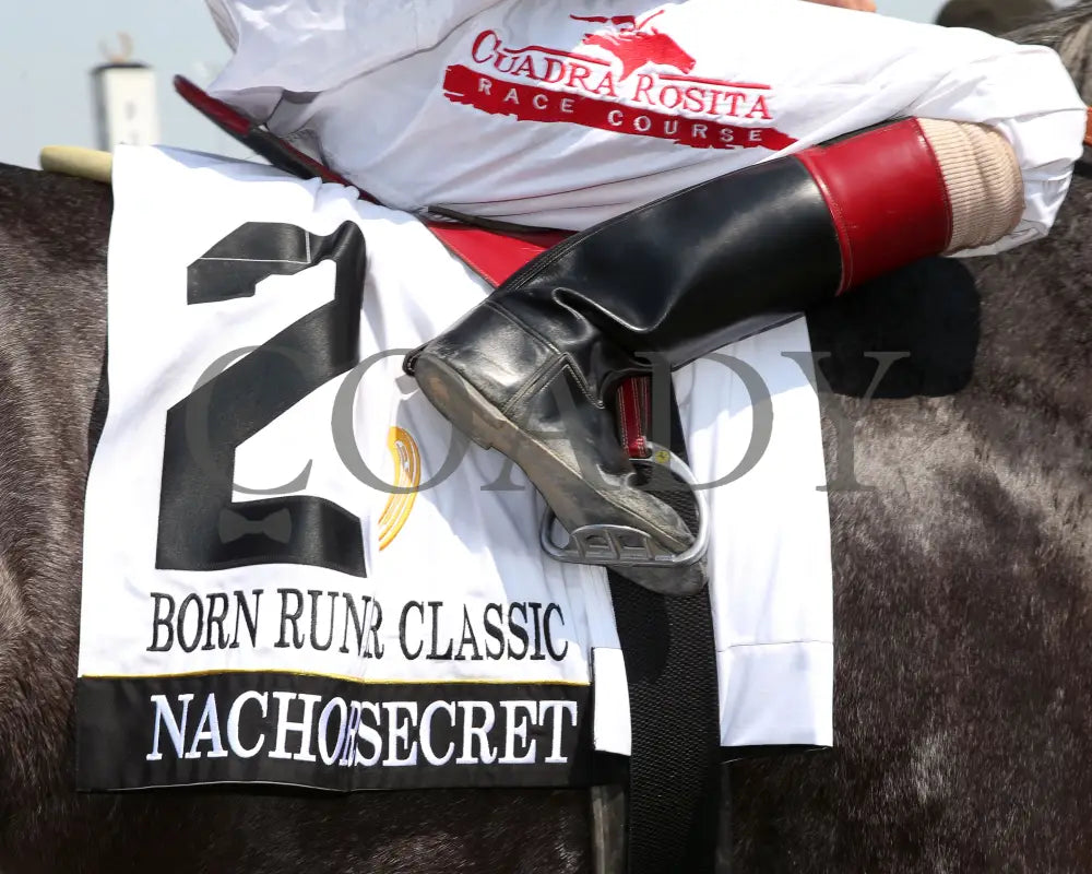 NACHOR SECRET - Born Runner Classic - 15th Running - 05-31-25 - R11 - Horseshoe Indiana - Saddle Towel 01 - Sammantha
