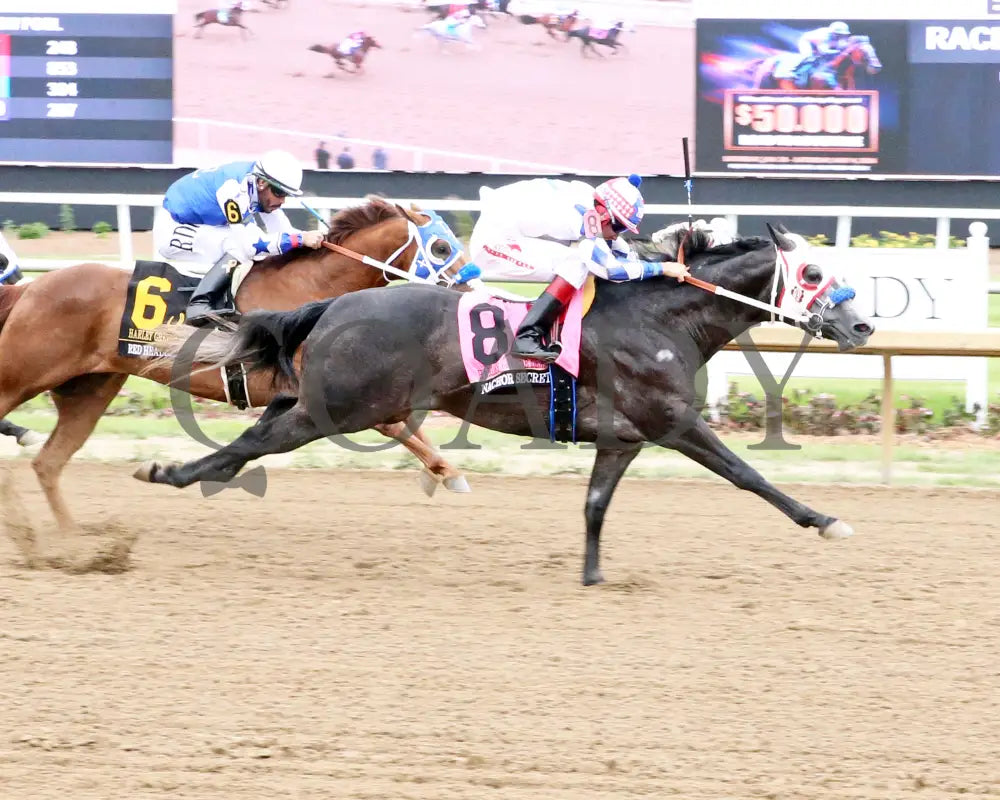 Nachor Secret - Harley Greene Derby Final 10Th Running 06-01-24 R09 Horseshoe Indiana Finish 01