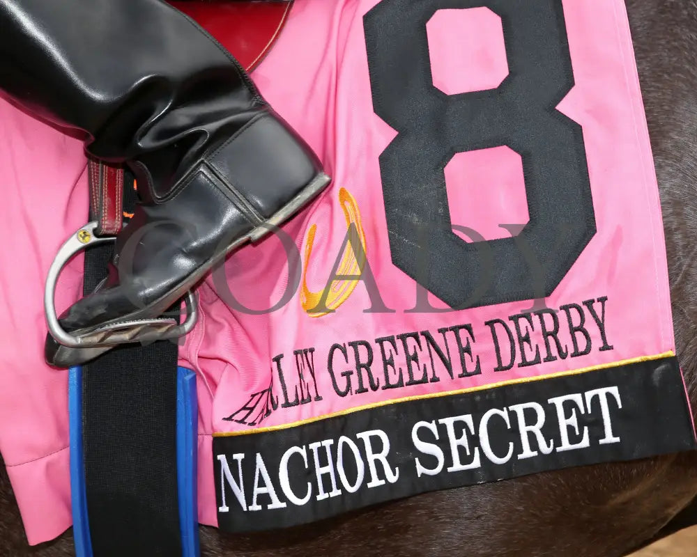 Nachor Secret - Harley Greene Derby Final 10Th Running 06-01-24 R09 Horseshoe Indiana Saddle Towel