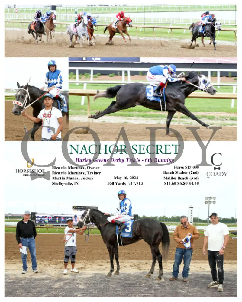 Nachor Secret - Harley Greene Derby Trials 6Th Running 05-16-24 R09 Ind Indiana Grand