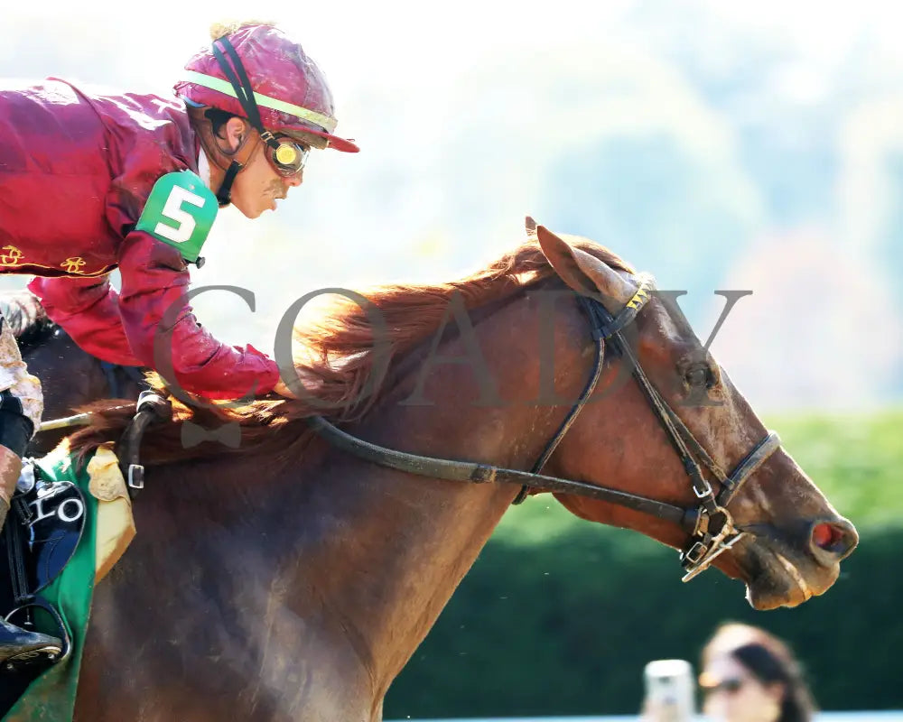 NAKATOMI - The Stoll Keenon Ogden Phoenix G2 - 10-03-25 - R07 - KEE - Tight Finish 01 Keeneland