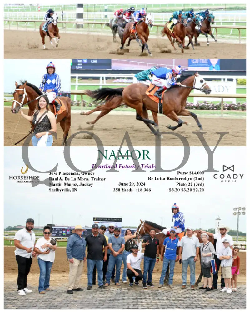Namor - Heartland Futurity Trials 06-29-24 R08 Ind Indiana Grand