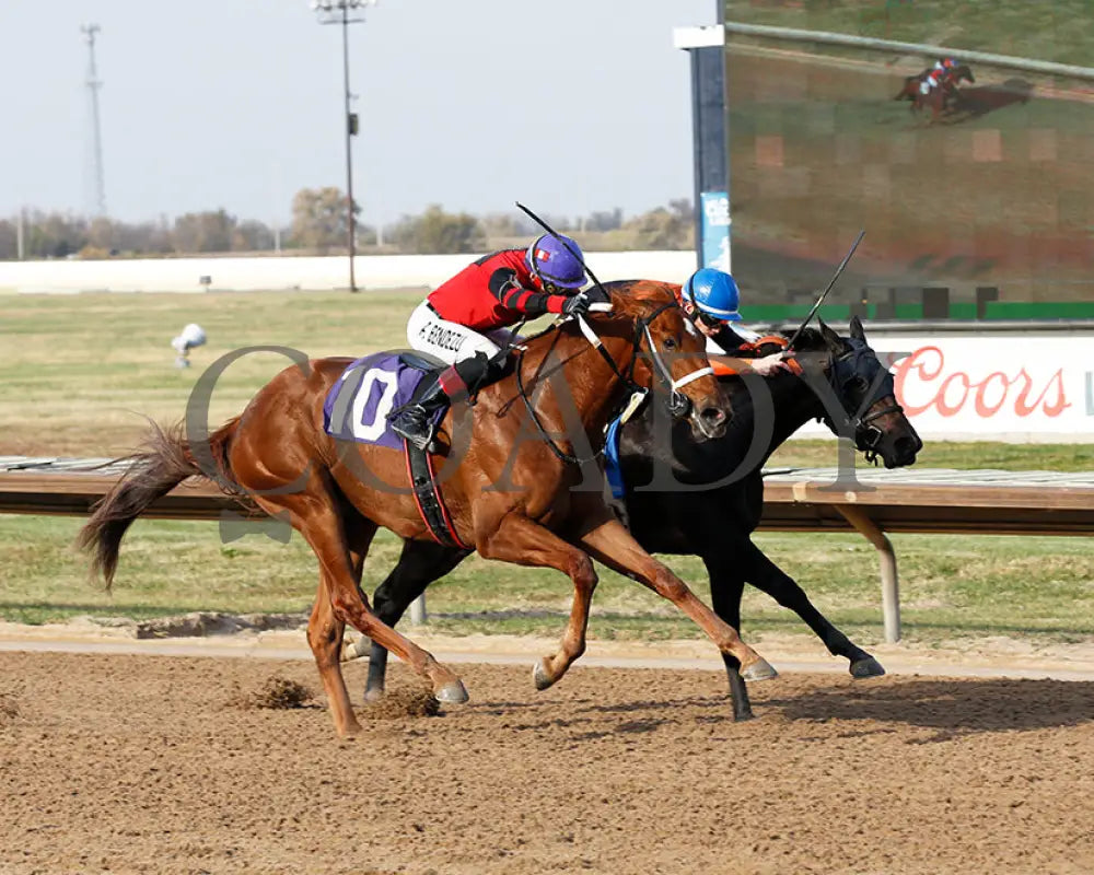 Natalia’s Rap - 10-29-24 R07 Pat Whitworth Debutante Fanduel Quarter Sportsbook Horse Racing