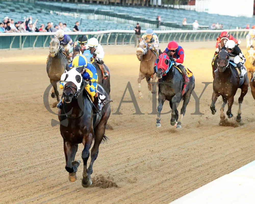 NATION - 111525 - Race 09 - The Rapid Transit Starter - CD - Inside Finish 01 - Coady Media - Kurtis Coady Photography