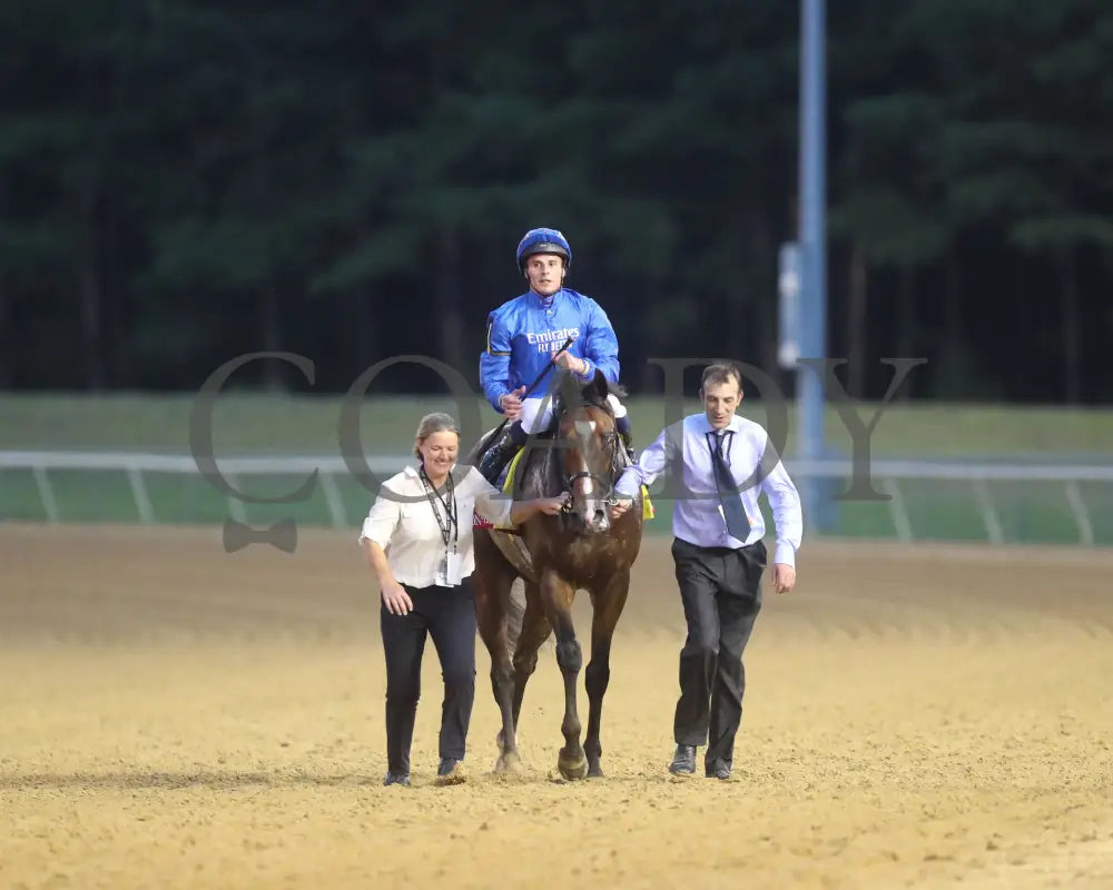 Nation’s Pride - The Arlington Million 08-11-24 R11 Cnl Come Back 08 Colonial Downs