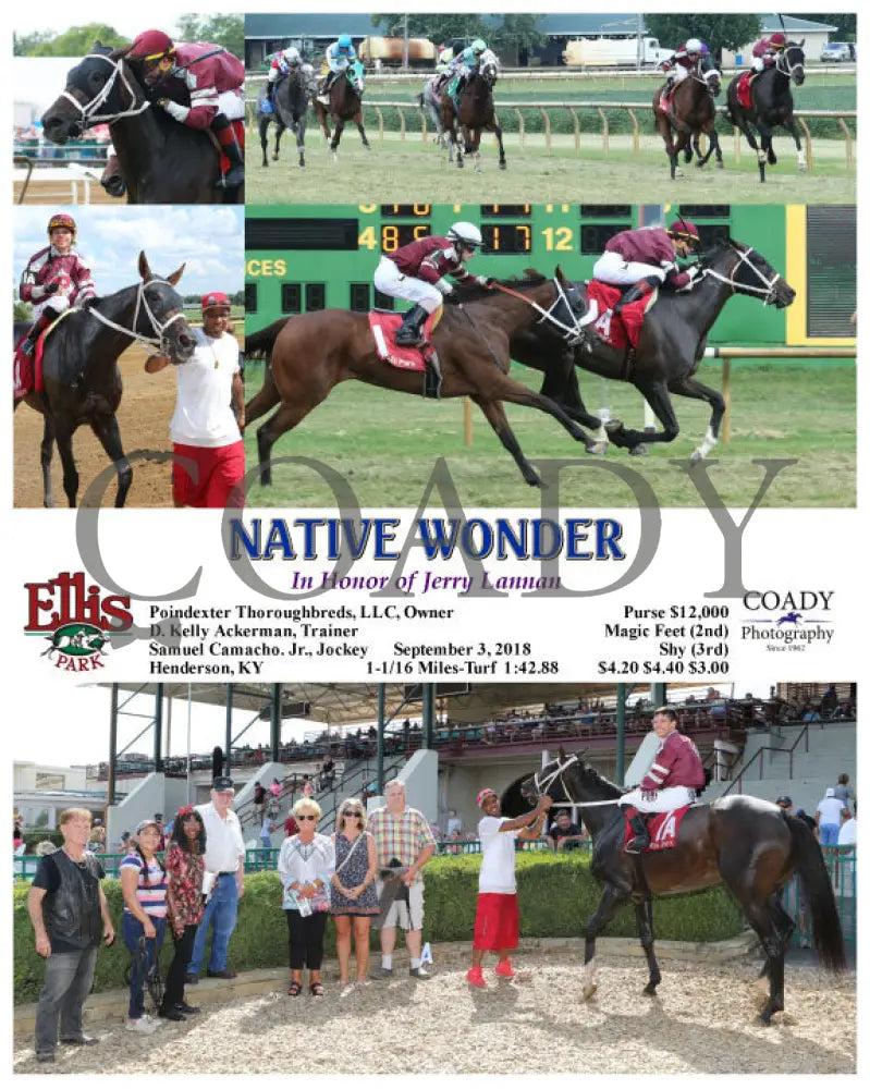 Native Wonder - 090318 Race 05 Elp Ellis Park