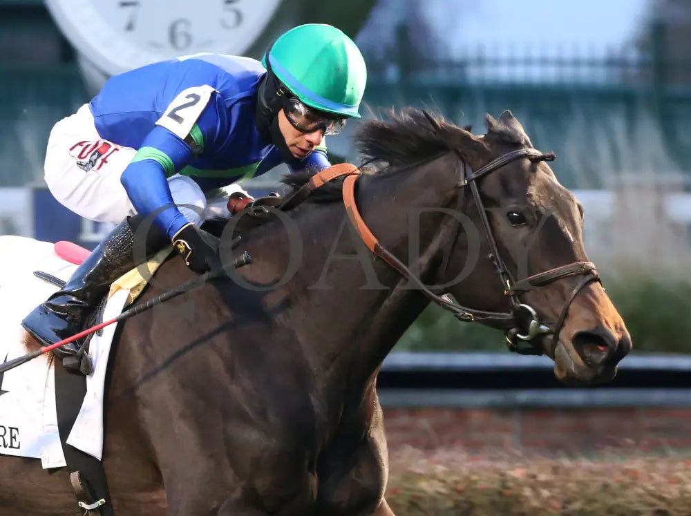 Nay Lady - Mrs. Revere G2 29Th Running 11-29-19 R09 Cd Finish 03 Churchill Downs