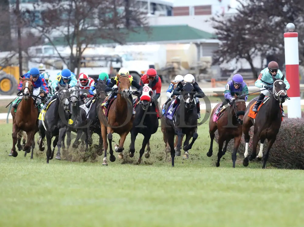 Nay Lady - Mrs. Revere G2 29Th Running 11-29-19 R09 Cd Turn 01 Churchill Downs