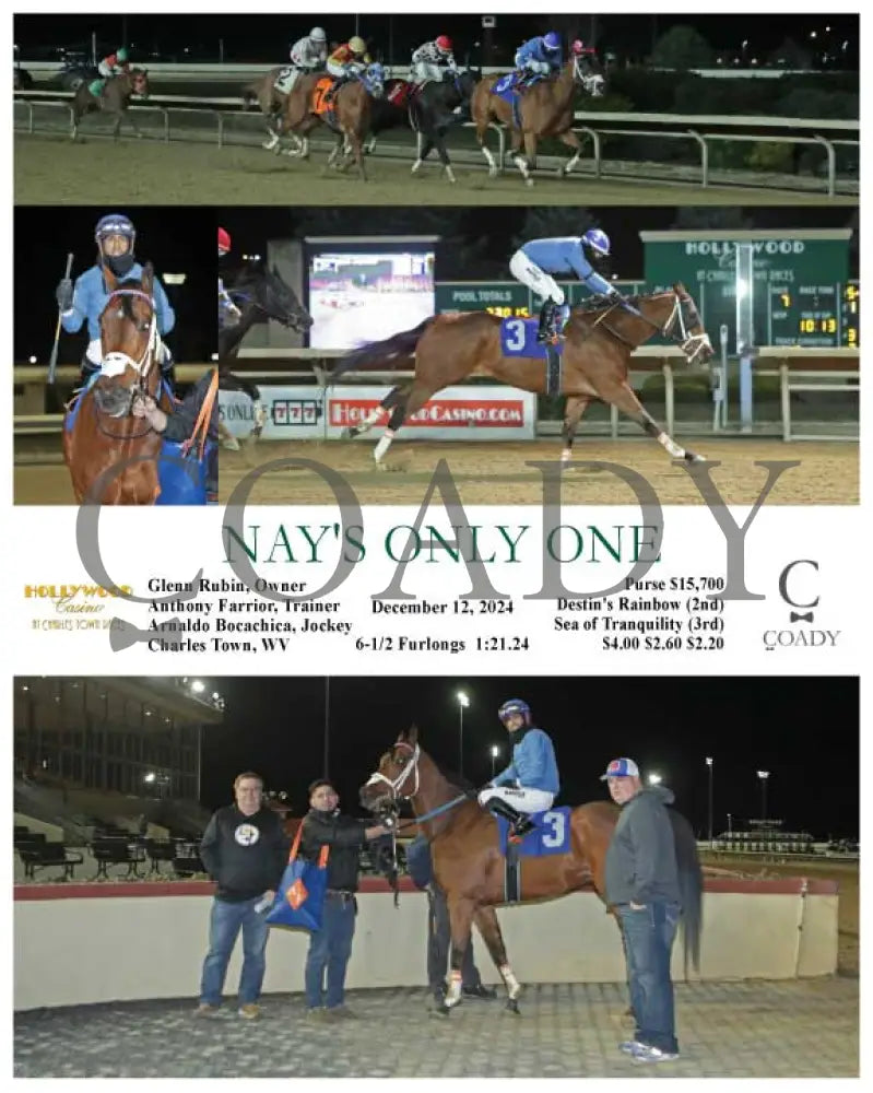 Nay’s Only One - 12-12-24 R07 Ct Hollywood Casino At Charles Town Races