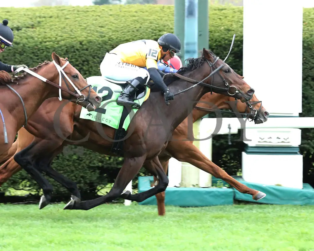 Neat - Transylvania Stakes 04 - 05 - 24 R08 Kee Finish 01 Keeneland
