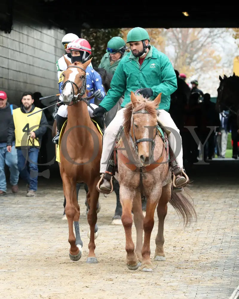 Neat - Transylvania Stakes 04 - 05 - 24 R08 Kee Post Parade 01 Keeneland