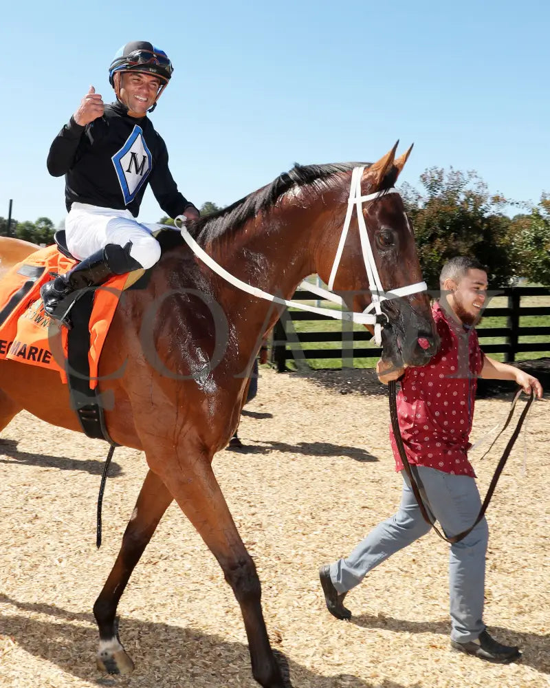 Neecie Marie - The Light & Wonder Ladies Marathon G3 09-07-24 R06 Kd Walk In 01 Kentucky Downs