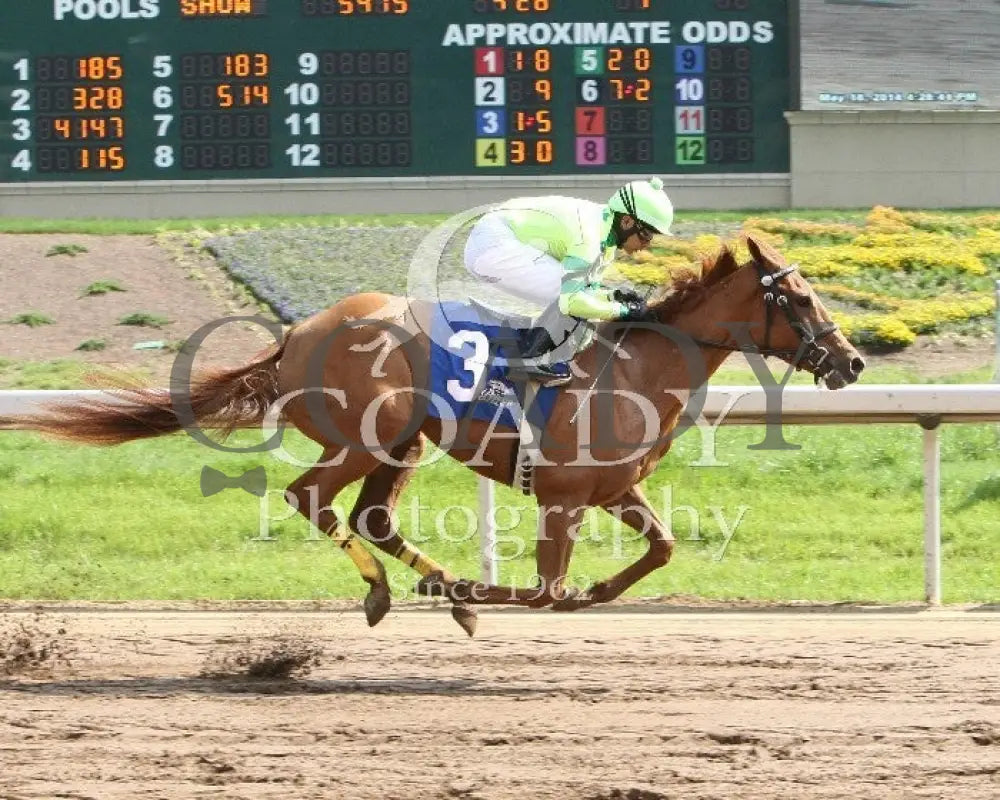 Needmore Flattery - 051814 Race 07 Btp Fin Belterra Park