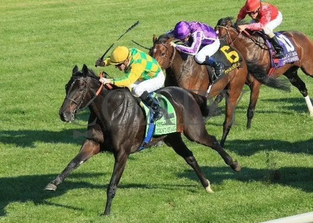 Never Retreat - Inside Aerial 100811 Race 07 Keeneland