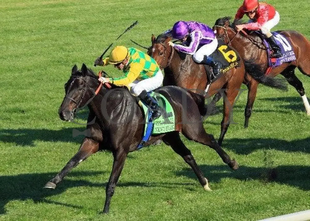 Never Retreat - Inside Finish 2 100811 Race 07 Keeneland