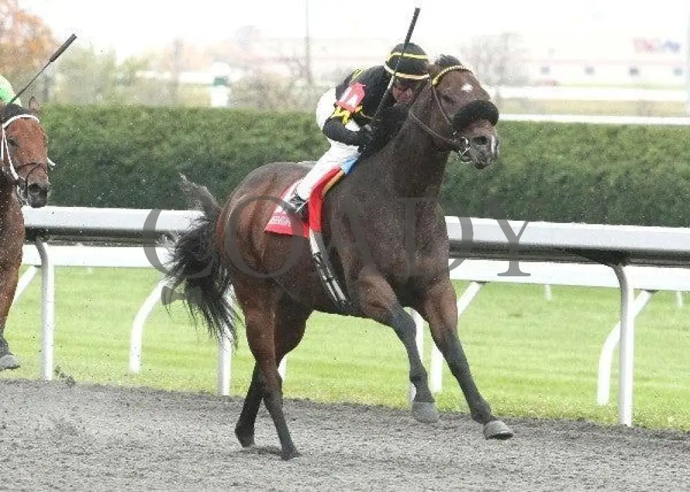 New Believer - 3 102811 Race 06 Keeneland