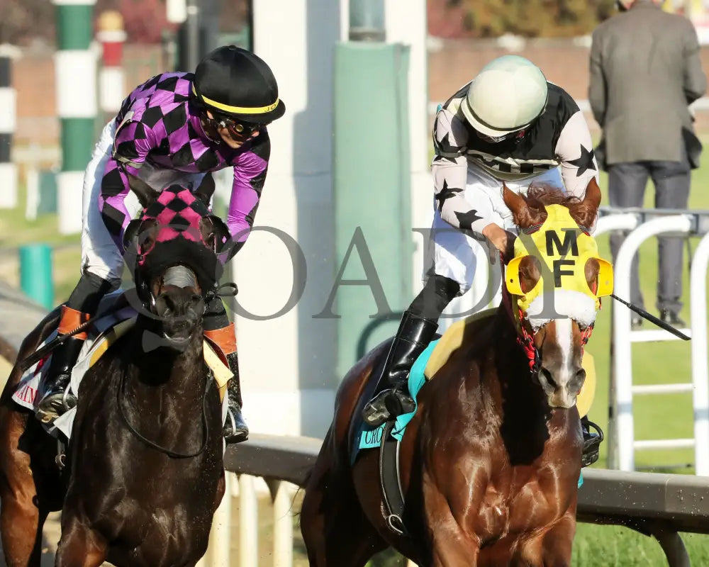 NEXT GIRL - The Glass Slipper - 11-15-25 - R07 - CD - Gallop Out 02 - Coady Media - Kurtis Coady Photography