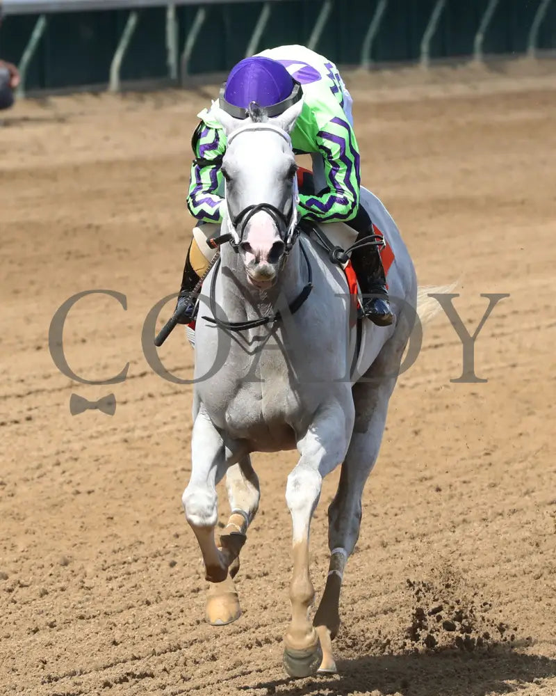 Next - The Isaac Murphy Marathon Overnight Stakes 05-01-24 R08 Cd Inside Finish 02 Churchill Downs