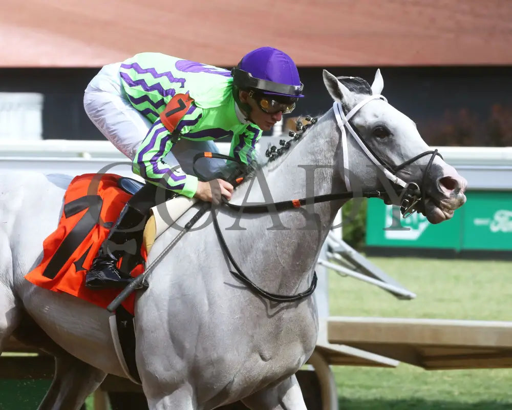 Next - The Isaac Murphy Marathon Overnight Stakes 05-01-24 R08 Cd Tight Finish 01 Churchill Downs