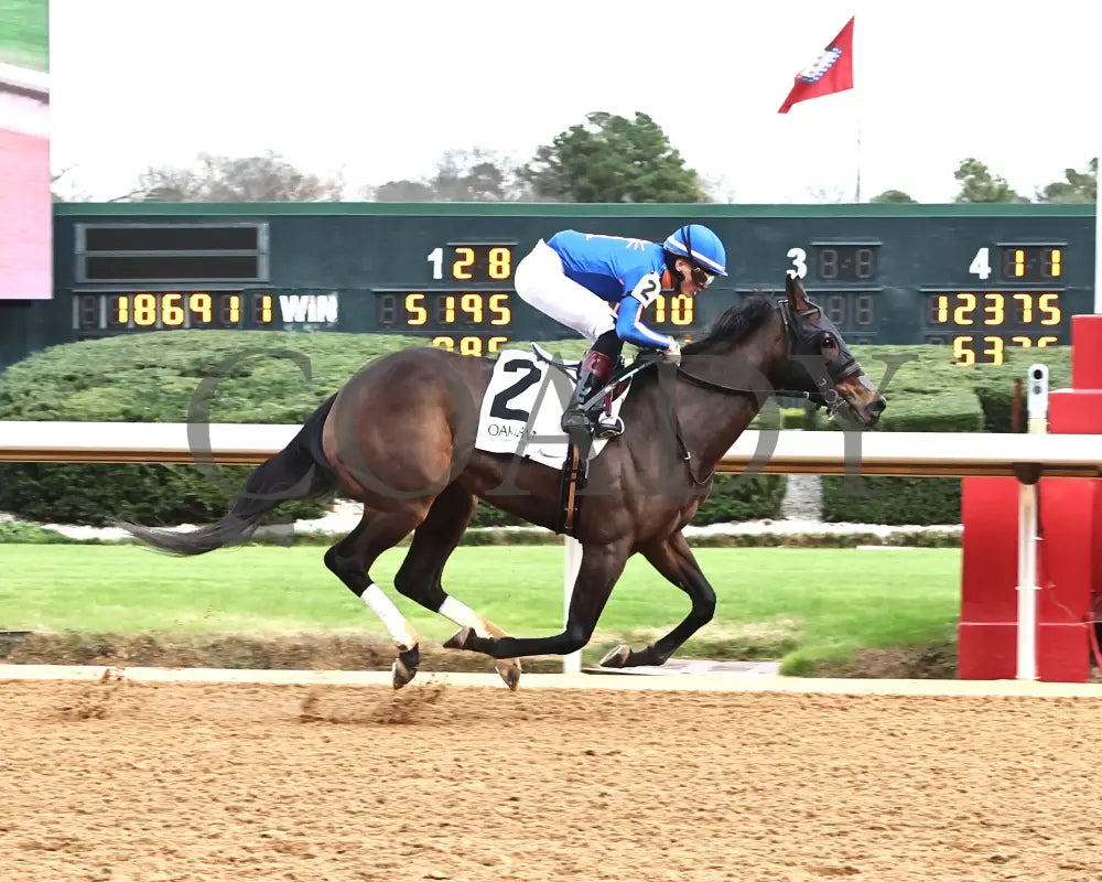 NEZAZURRI - Oaklawn Sports Overnight Stakes - 01-01-26 - R08 - OP - Finish 01 - Coady Media - Kurtis Coady Photography
