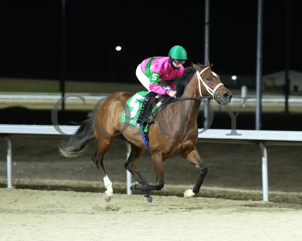 Nice As Pie - The Valdale 37Th Running 02-10-24 R07 Tp Finish 02 Turfway Park