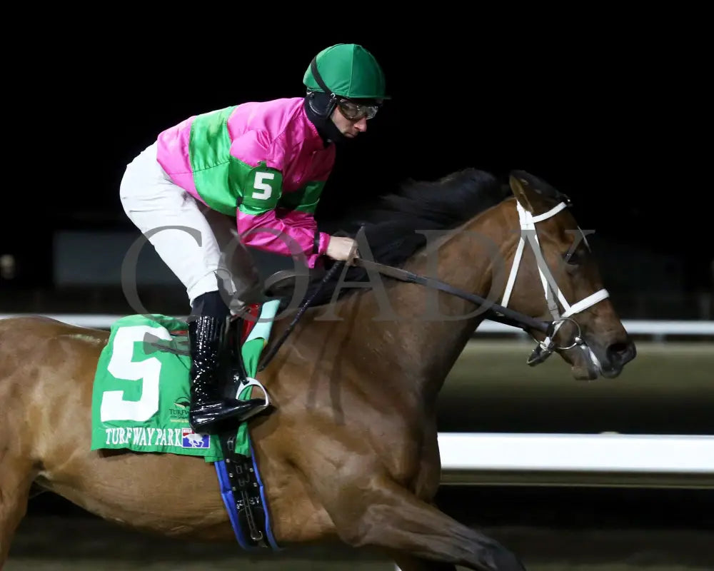Nice As Pie - The Valdale 37Th Running 02-10-24 R07 Tp Gallop Out 01 Turfway Park