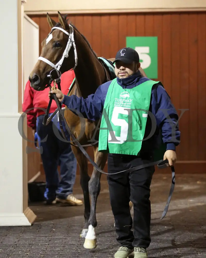 Nice As Pie - The Valdale 37Th Running 02-10-24 R07 Tp Paddock 01 Turfway Park