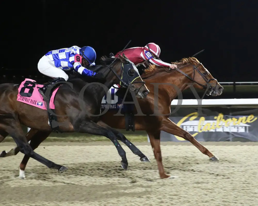 Night Time - The Holiday Cheer Stakes 24Th Running 12-30-23 R07 Tp Finish 01 Turfway Park