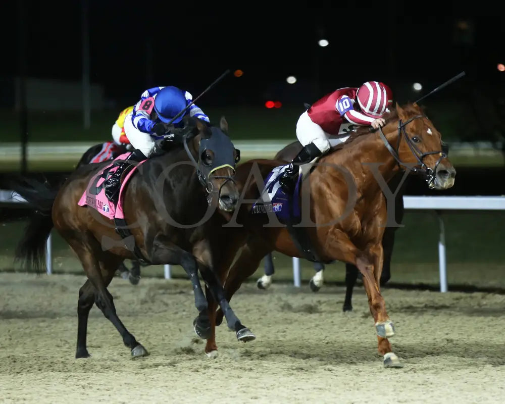 Night Time - The Holiday Cheer Stakes 24Th Running 12-30-23 R07 Tp Finish 02 Turfway Park