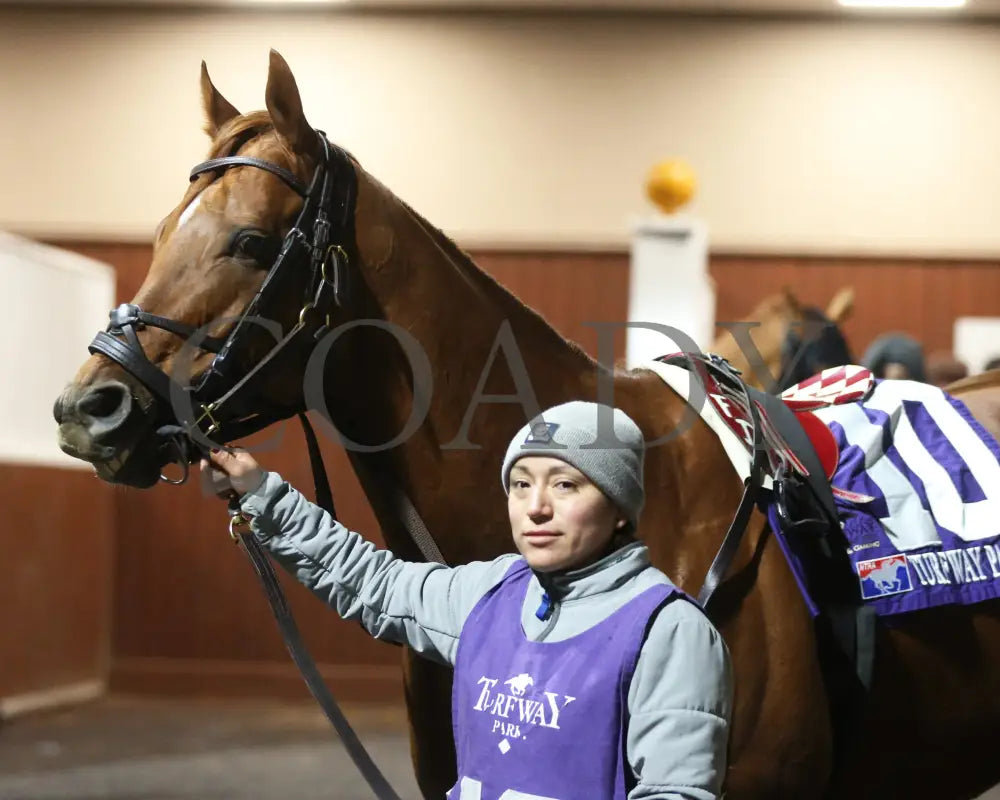 Night Time - The Holiday Cheer Stakes 24Th Running 12-30-23 R07 Tp Paddock 02 Turfway Park