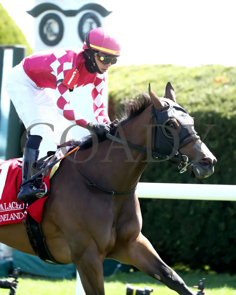 NITROGEN - The Appalachian G2 - 04-08-25 - R06 - KEE - Finish 04 Keeneland