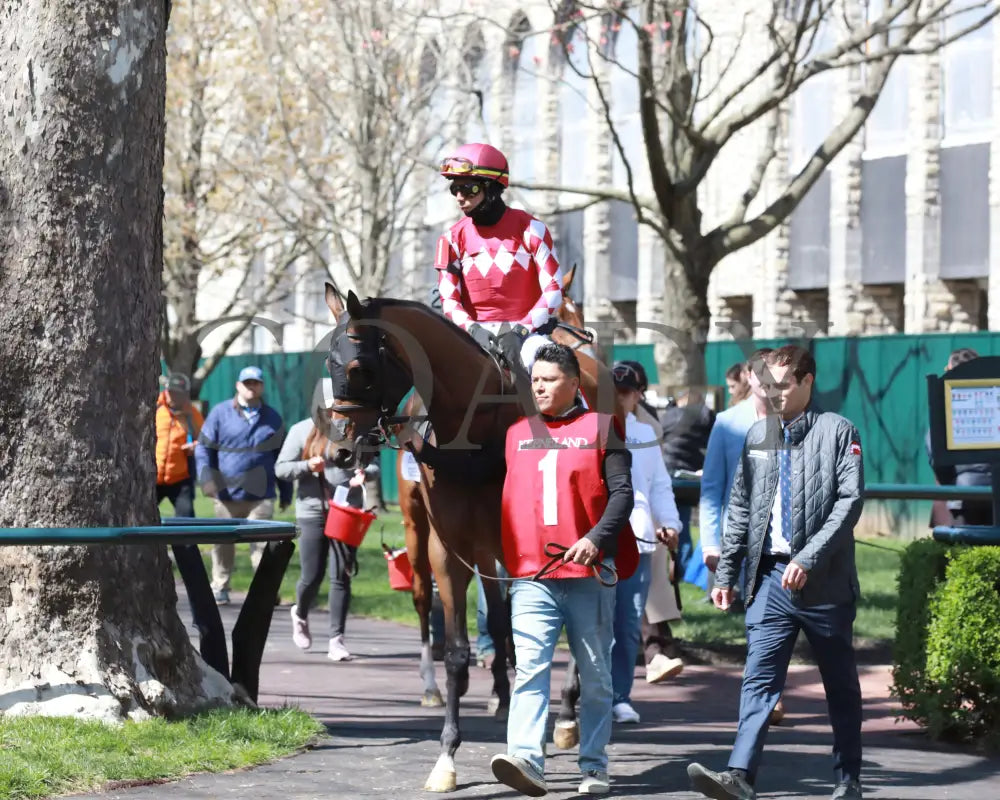 NITROGEN - The Appalachian G2 - 04-08-25 - R06 - KEE - Paddock 01 Keeneland