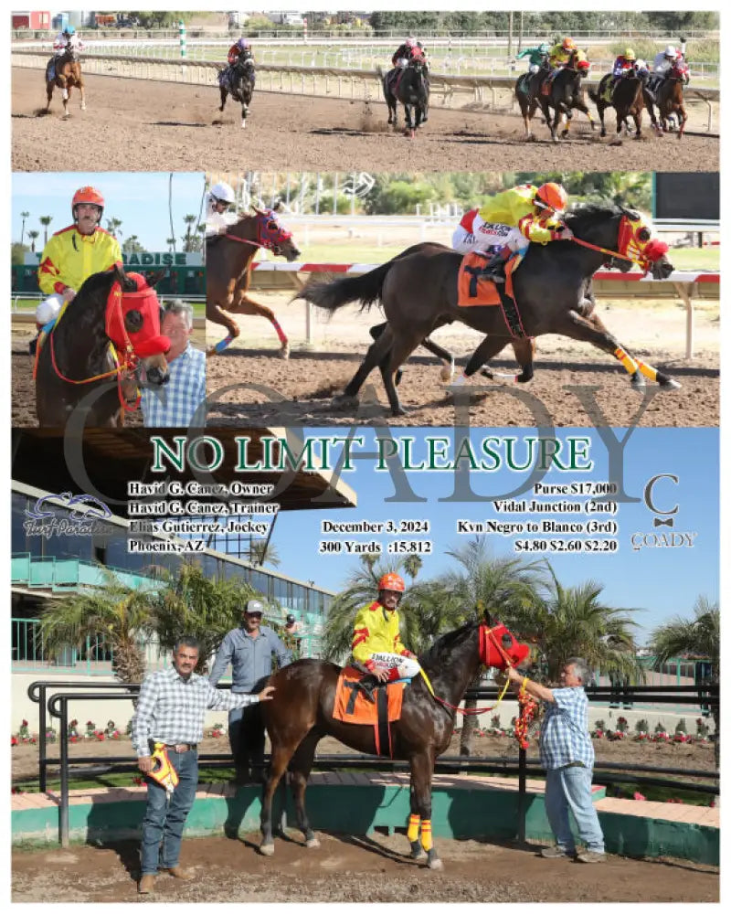 No Limit Pleasure - 12-03-24 R01 Tup Turf Paradise