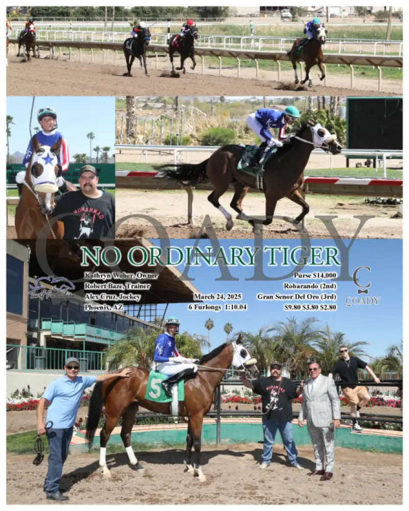 NO ORDINARY TIGER - 03-24-25 - R03 - TUP Turf Paradise