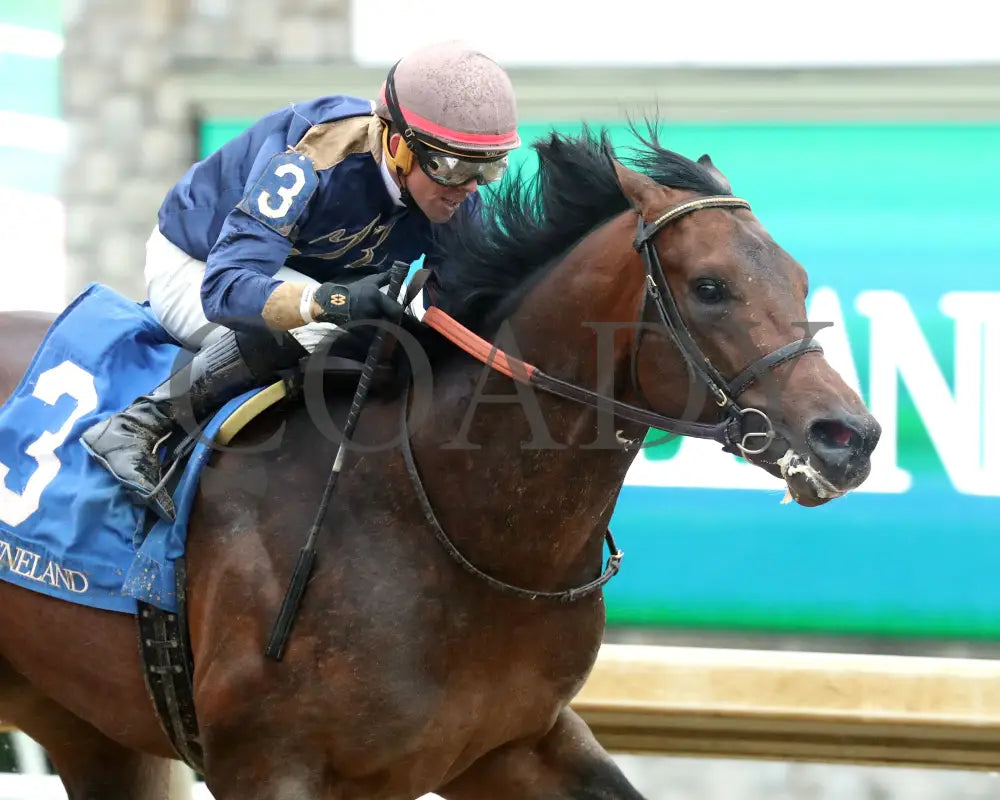 NORMANDY COAST - The Palisades - 04-06-25 - R08 - KEE - Finish 02 Keeneland