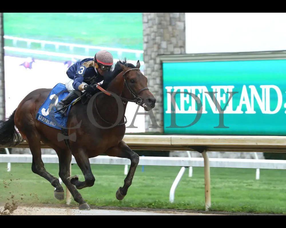 NORMANDY COAST - The Palisades - 04-06-25 - R08 - KEE - Finish 03 Keeneland