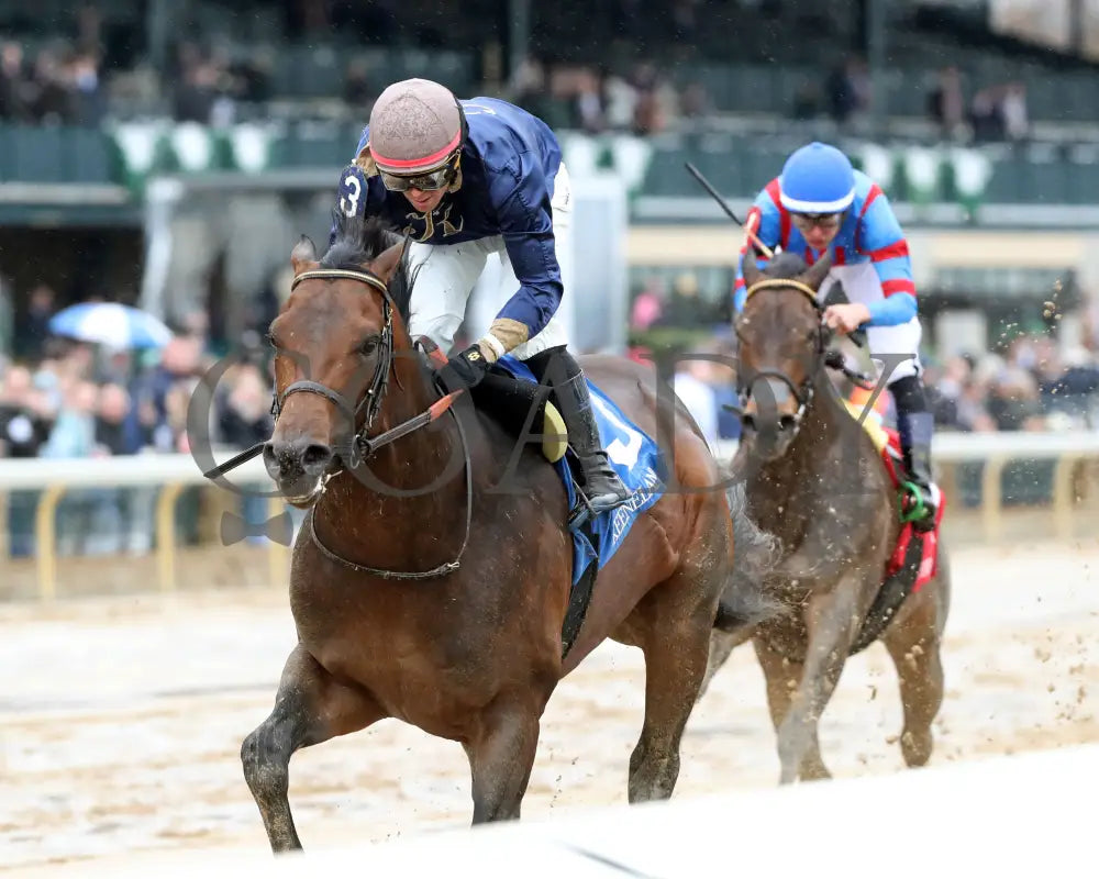 NORMANDY COAST - The Palisades - 04-06-25 - R08 - KEE - Inside Finish 01 Keeneland