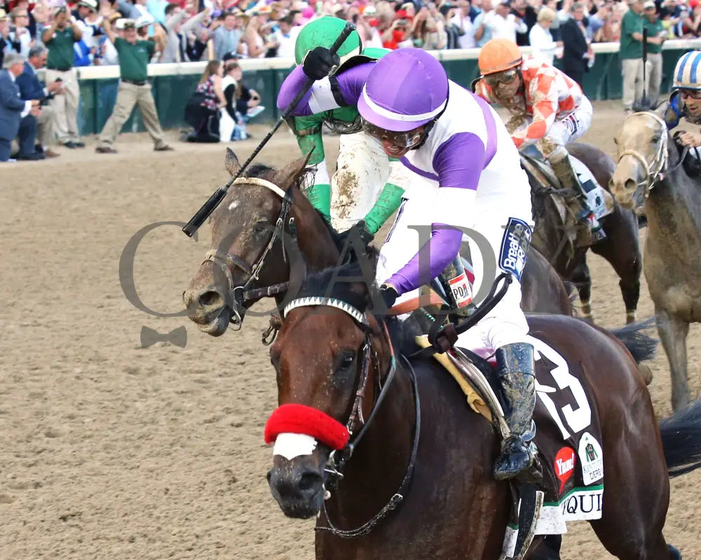Nyquist - 050716 Race 12 Cd Celebration Kentucky Derby
