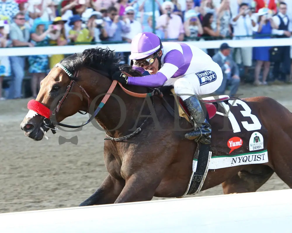 Nyquist - 050716 Race 12 Cd Inside Finish 02 Kentucky Derby