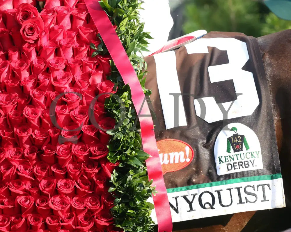 Nyquist - 050716 Race 12 Cd Roses 02 Kentucky Derby