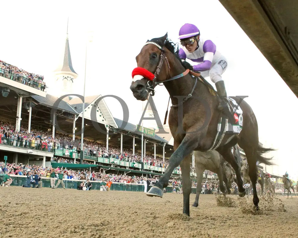Nyquist - 050716 Race 12 Cd Under Rail Kentucky Derby