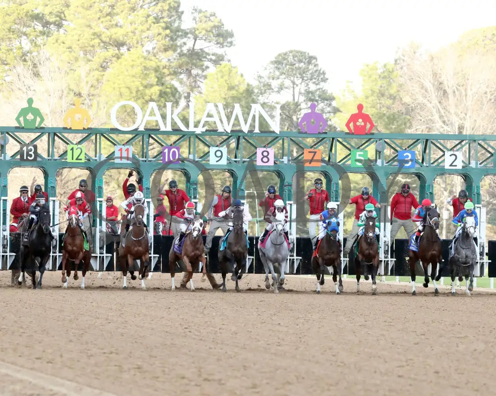 Octane - Razorback Handicap G3 65Th Running 02-24-24 R10 Op Start 01 Oaklawn Park