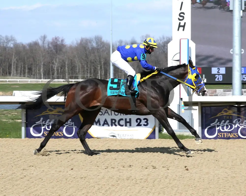 Okiro - The Animal Kingdom Stakes 38Th Running 03 - 23 - 24 R07 Turfway Park Finish 01 Sammantha