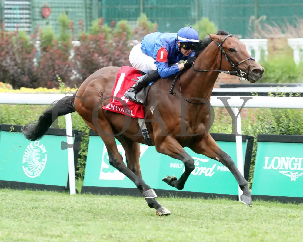 Ottoman Fleet - The Arlington Stakes 88Th Running 06-01-24 R06 Cd Finish 02 Churchill Downs